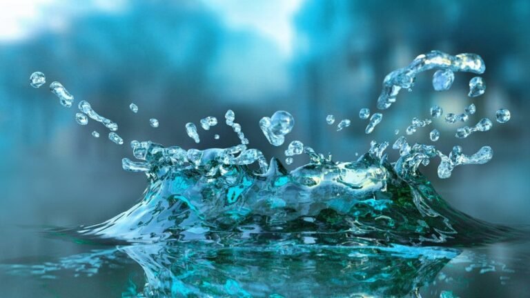 WhatsApp Image 2022-09-02 at 12.08.02