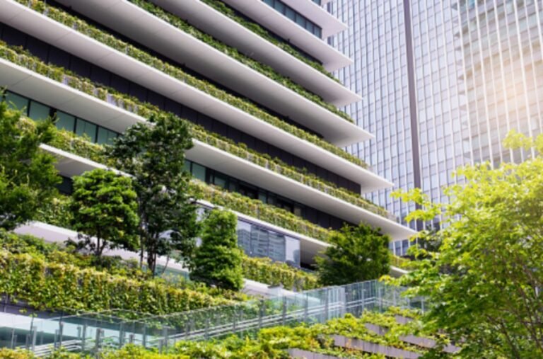 WhatsApp Image 2022-09-15 at 20.11.34