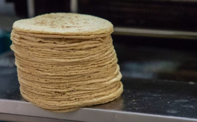 tortilla_x2x.jpg_242310155