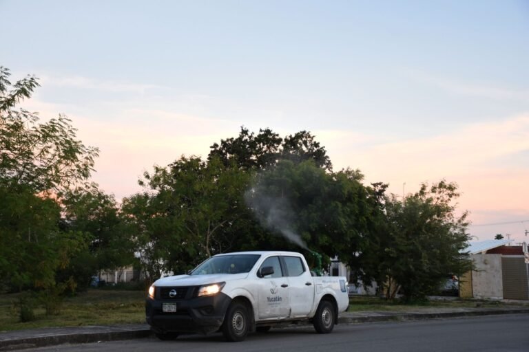 Image 2022-10-04 at 12.36.16 PM