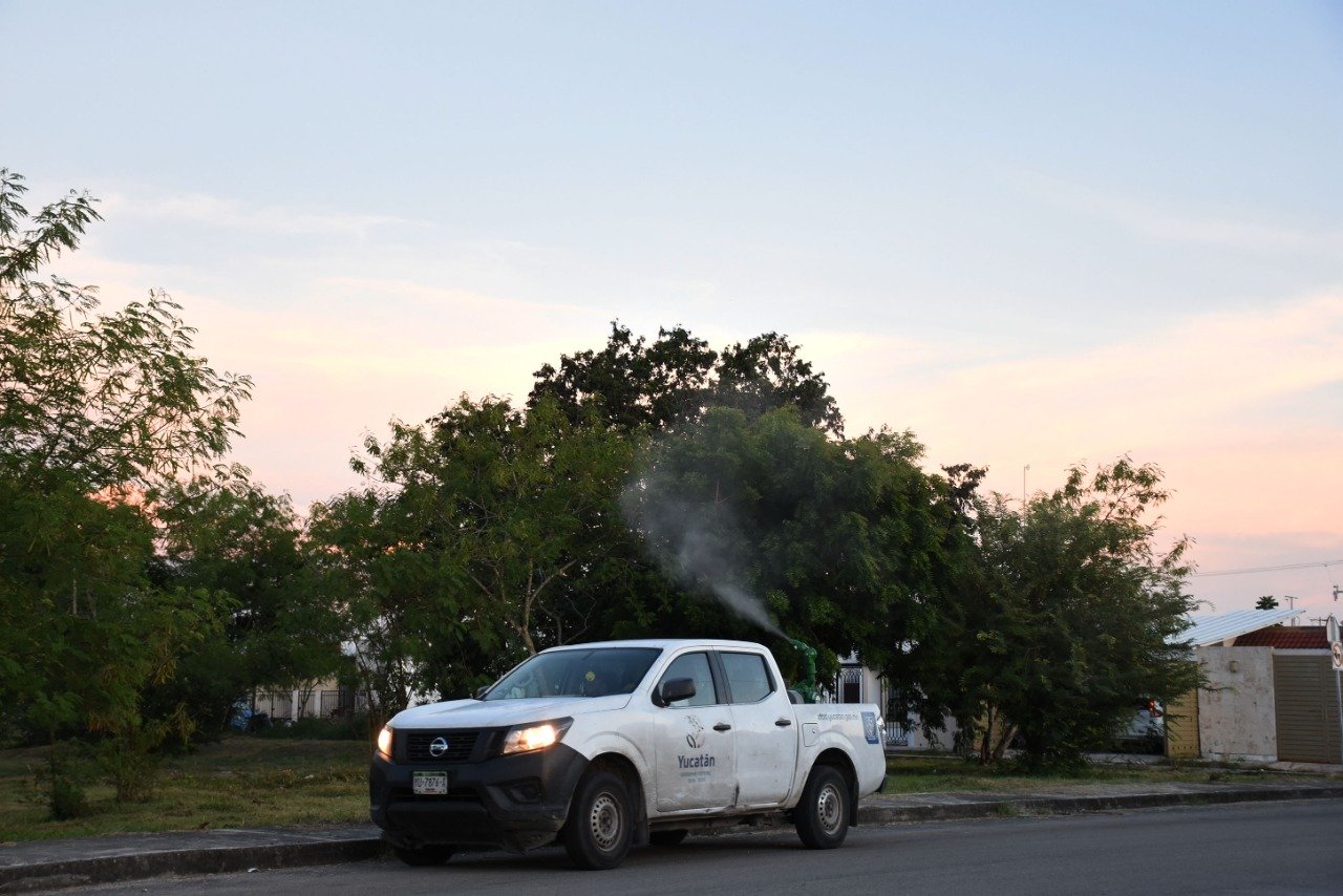 Realiza SSY y Ayuntamiento doble barrido de fumigación en Mérida
