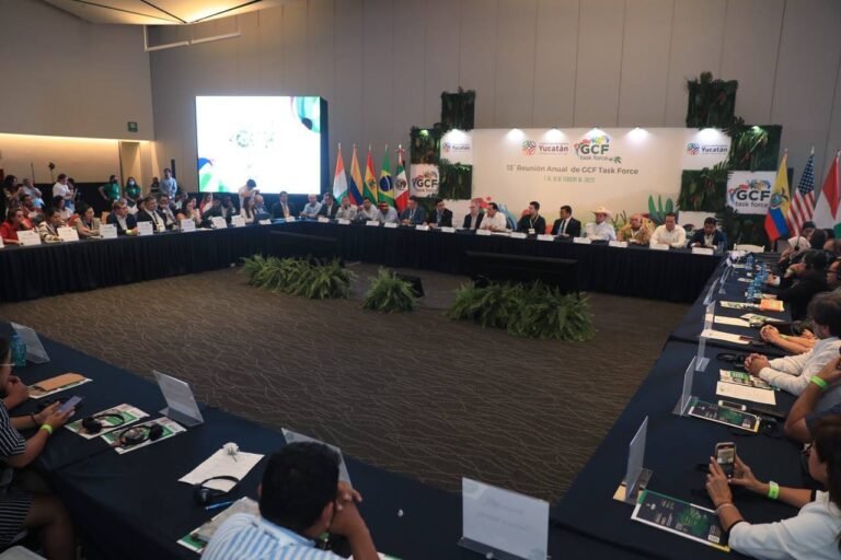 329798934_729331198780593_2079491308973628484_n