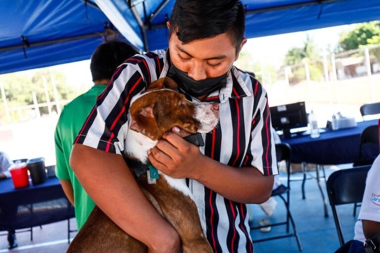 518ec244-4a63-48cb-a8be-9a37651a02a4