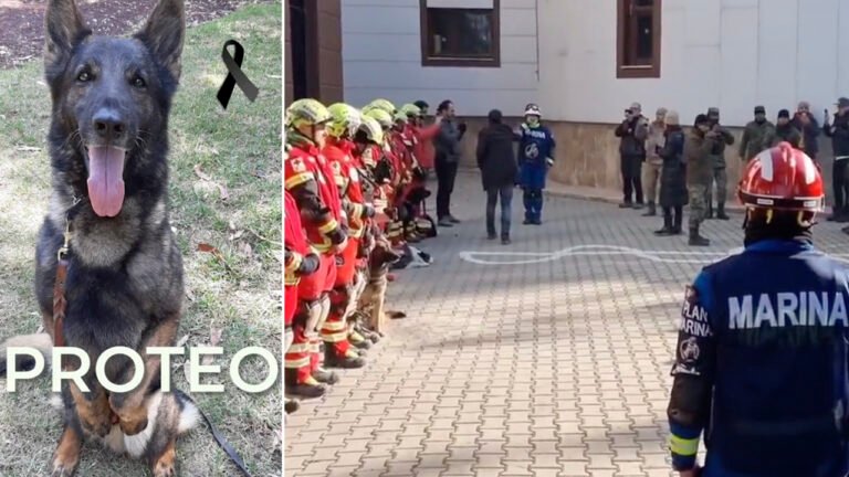 999c7780-abd7-11ed-9dd6-c2bb63f3633b