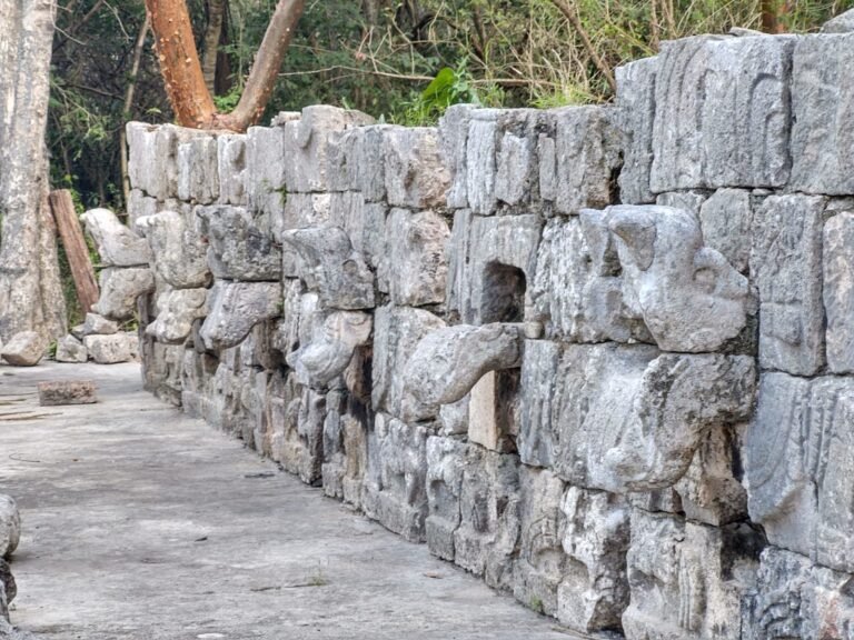 chichen-Serie-Inicial-0223WhatsApp-Image-2023-02-10-at-17.30.55-4