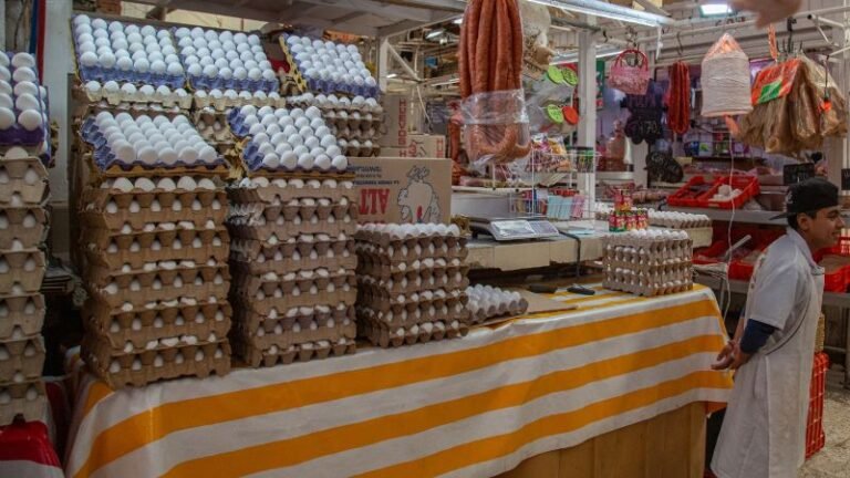 f800x450-655206_706652_5050