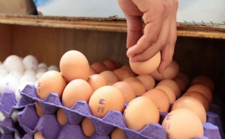 precio-del-huevo-tamaulipas-frontera