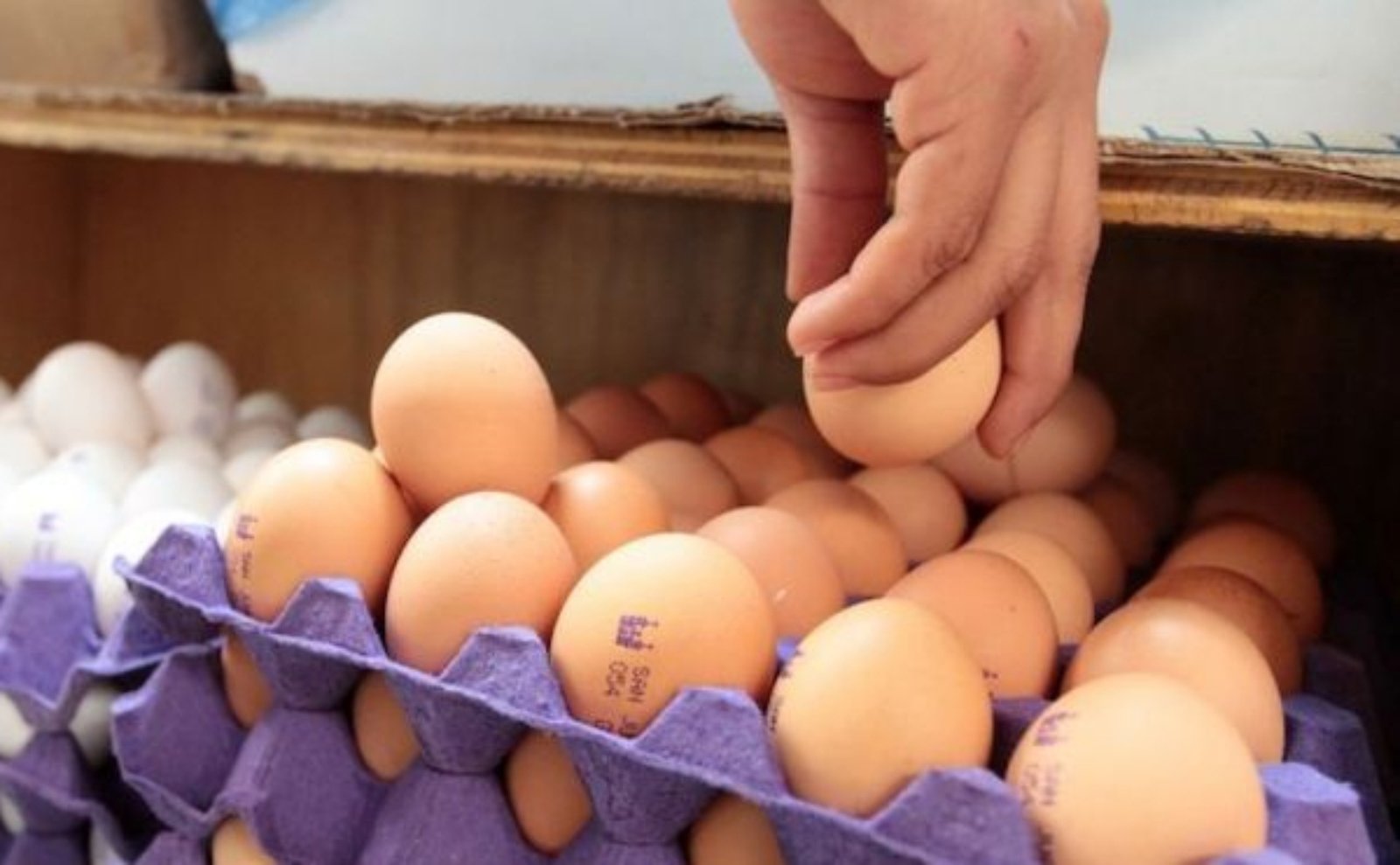 Aumentarán de precio el huevo, pollo, limón y tomate