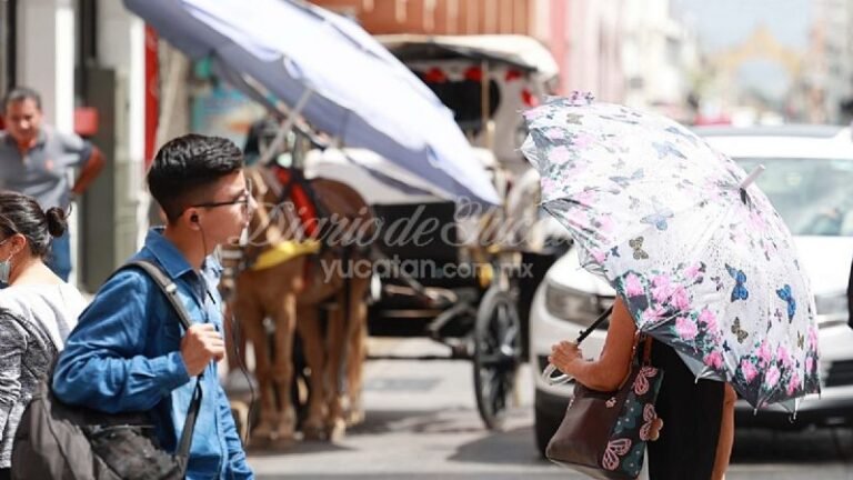 f800x450-663673_715119_5050