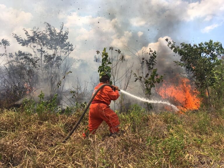 incendios-fores323435640_1462274410964368_3011559571962037457_n