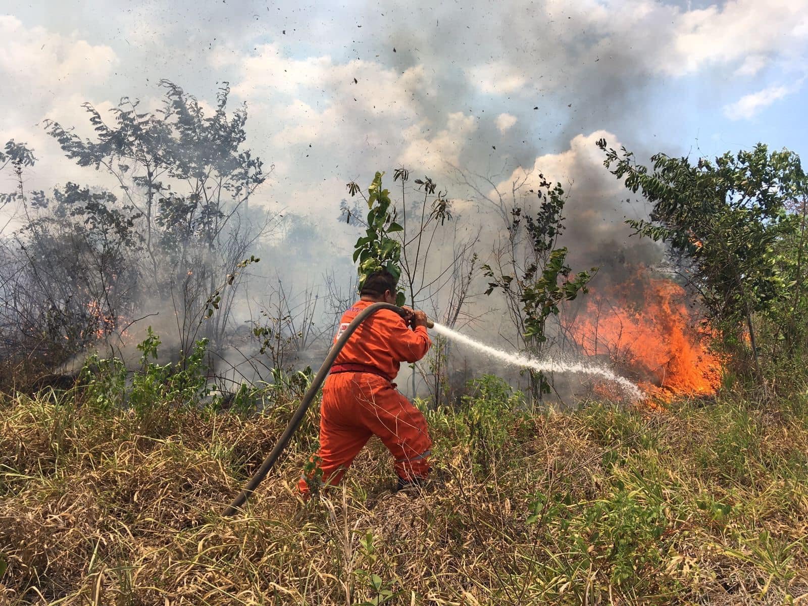 Yucatán registra 245 siniestros en la temporad de secas: Procivy 
