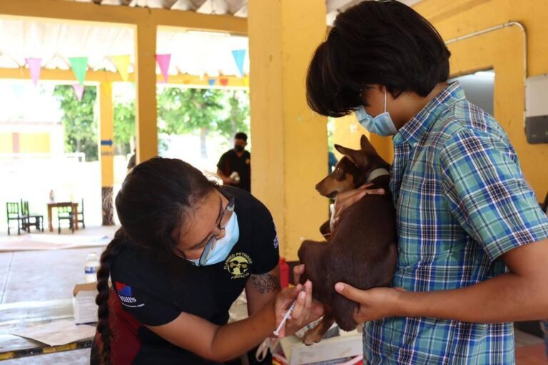 vacuna-perritos-3