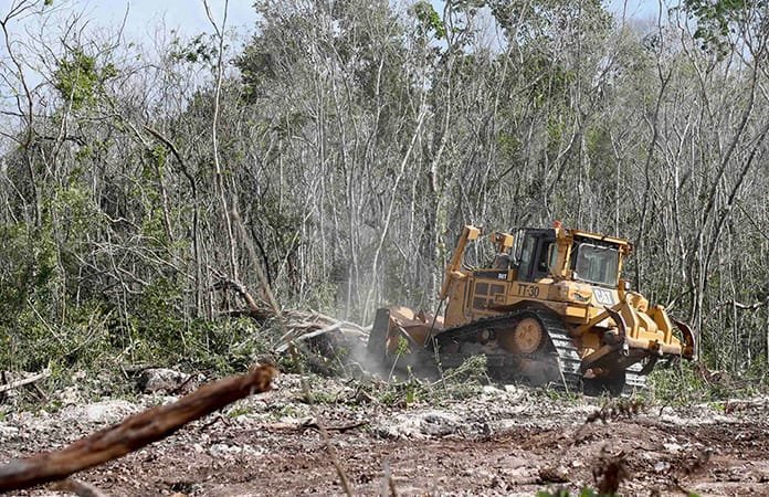 salvame-del-tres-23FTSiuwfWUAEICyT