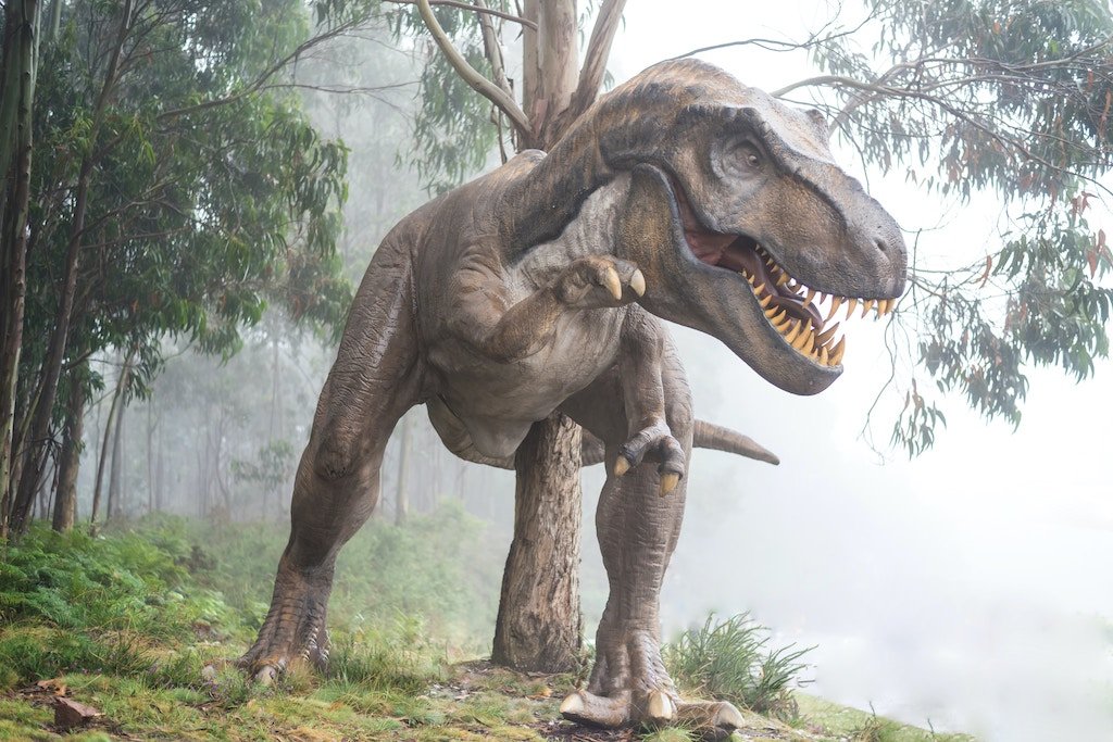 Los T. Rex no exponían sus dientes para parecer «más amenazadores ...