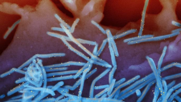 f685x385-176432_214125_5050