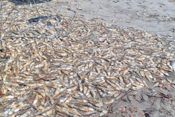 39eeabc5-12e2-44f8-93a5-abdf7778ec59-85e9f0eb-focus-0-0-600-400