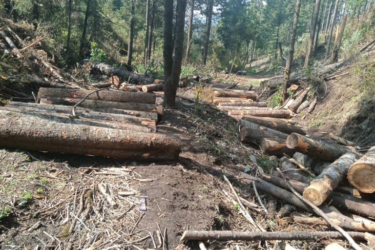 Tala1_Edomex_MaTeresa_Mntano1