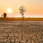 cambio_climatico_sequia_shutterstock.jpg_555611989