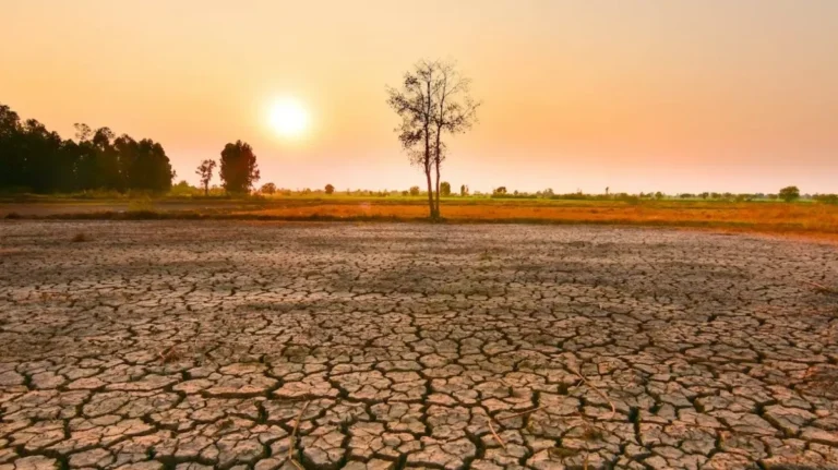 cambio_climatico_sequia_shutterstock.jpg_555611989