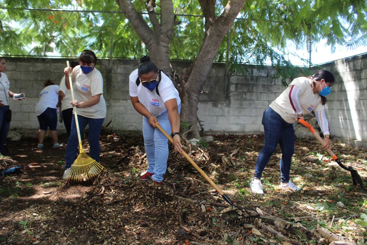 Cecilia Patrón hace equipo por Mérida para prevenir el dengue