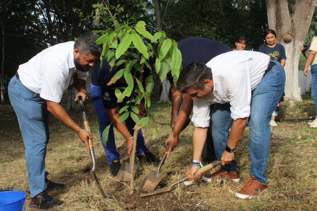 Jóvenes se suman a la arborización de Yucatán