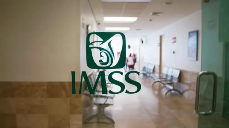 imss-registro-trabajadoras-del-hogar.jpg_554688468