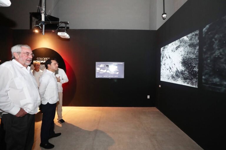 Imagen de WhatsApp 2023-11-02 a las 15.07.43_9e80f9a3