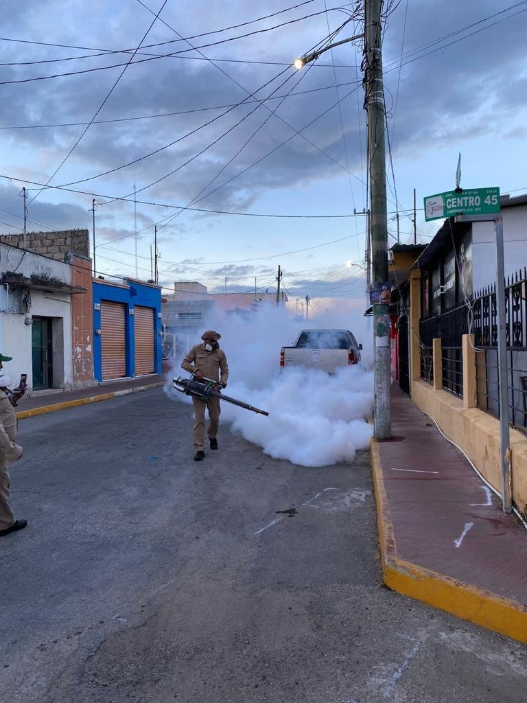 fumiga-23WhatsApp-Image-2023-11-05-at-17.47.14