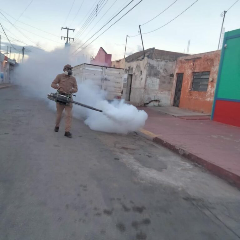 fumiga-23WhatsApp-Image-2023-11-05-at-17.47.15