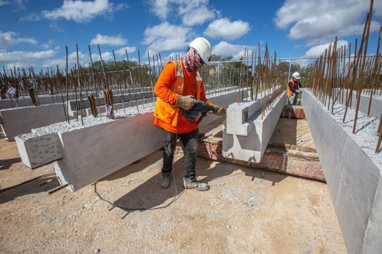 6fc03fd8-d1c2-4ed5-8005-30ccbd9064d2