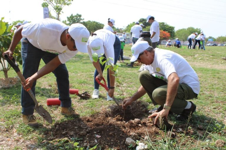 Imagen-de-WhatsApp-2023-12-05-a-las-18.35.33_50ce95a5