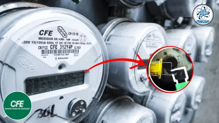 Copia-de-EdeCiencia-Mexw-C-P-2024-01-13T232538.587