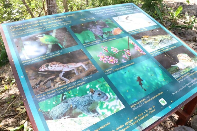 IMG_7043_10-01-2024 Parador Ecoturístico Záaz Koolen Há