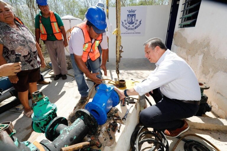 Imagen de WhatsApp 2024-02-02 a las 21.10.44_45d3a7b3