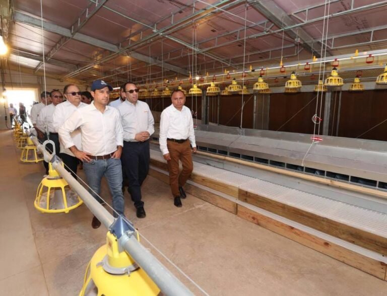 Imagen de WhatsApp 2024-02-06 a las 18.40.29_dfd4a2b4