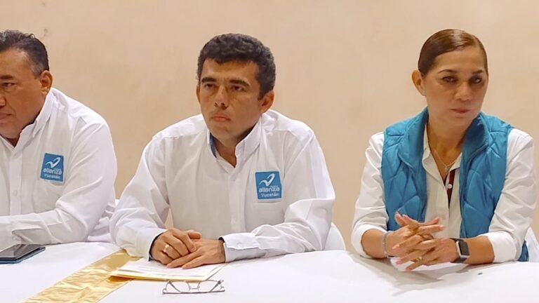 Sosa-alonso-Nueva-Al-24WhatsApp-Image-2024-02-01-at-1.32.02-PM