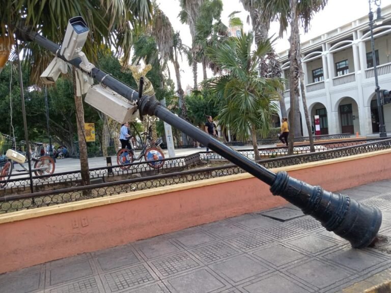 WhatsApp-Image-2024-02-05-at-20.50.13_aabb46a2