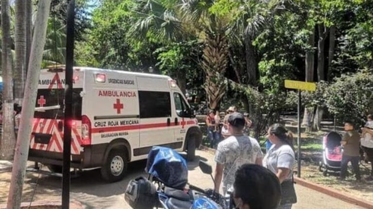 trenecito-centenario-1-1280x720-1