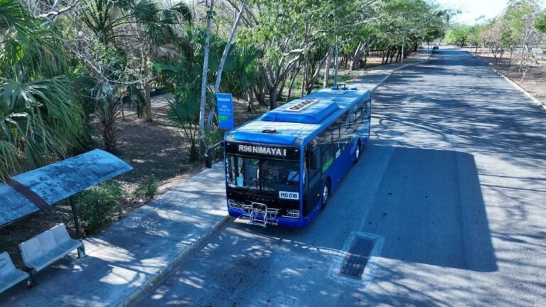 va-y-ven-24WhatsApp-Image-2024-03-24-at-10.47.02-AM-2