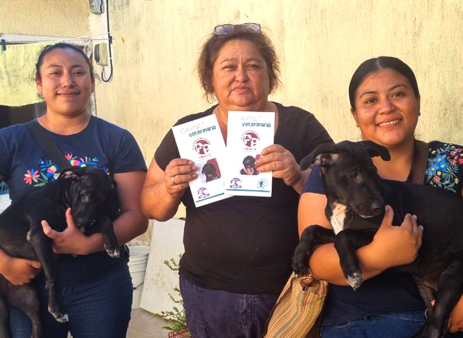 Cultur y Perpópolis entregan en adopción a perritos de Chichén