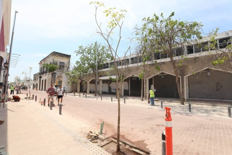 Imagen de WhatsApp 2024-04-02 a las 19.58.43_05cb055c