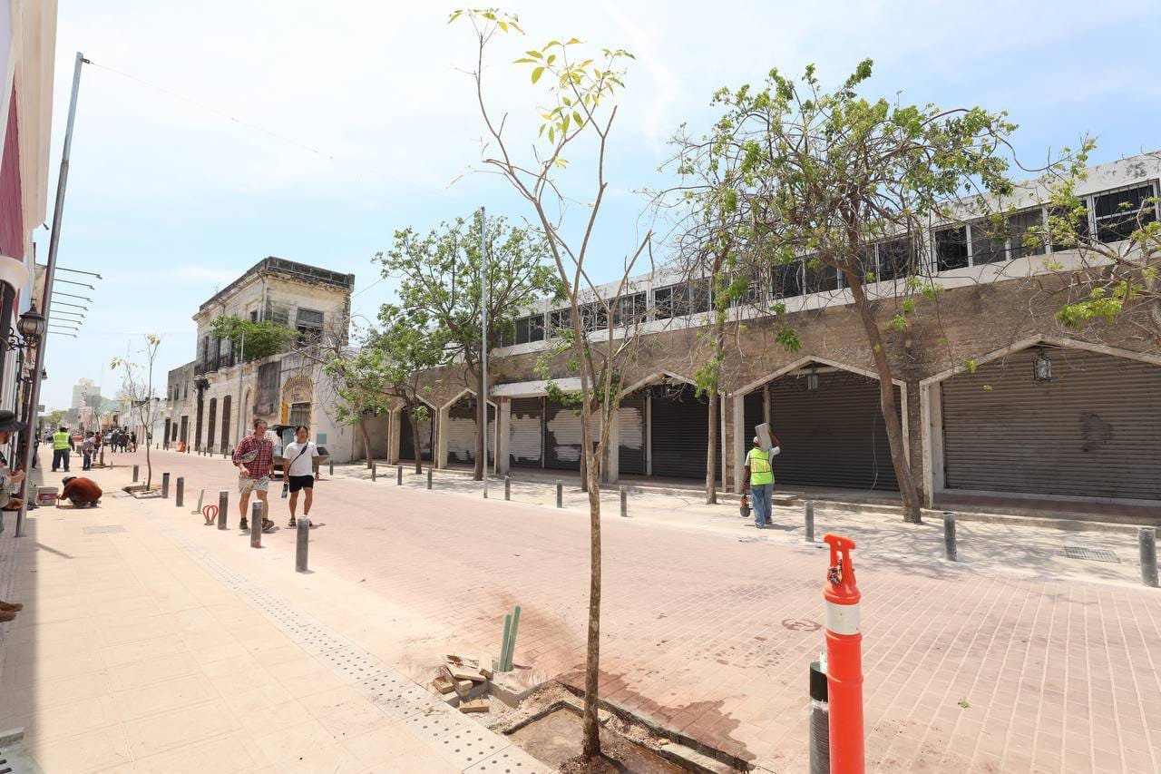 Gobierno estatal planta árboles en Corredor Turístico en el Centro Histórico