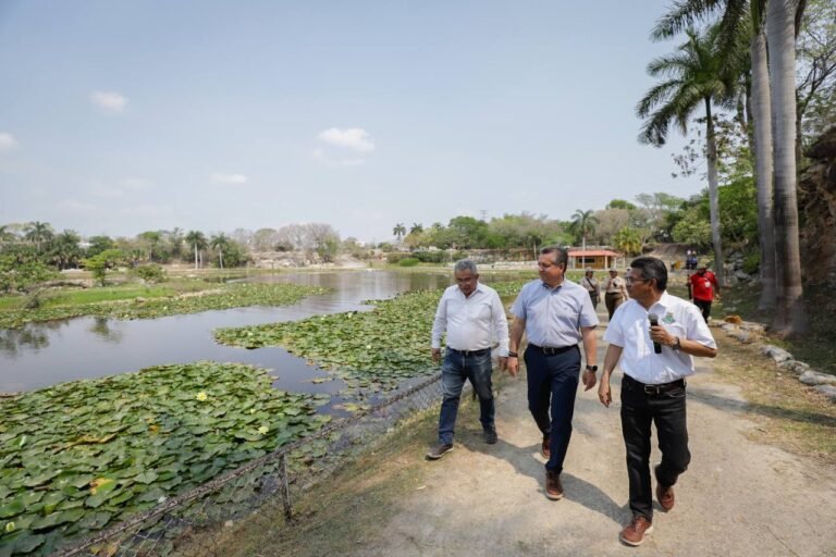 Imagen de WhatsApp 2024-04-03 a las 18.12.59_afb33b97