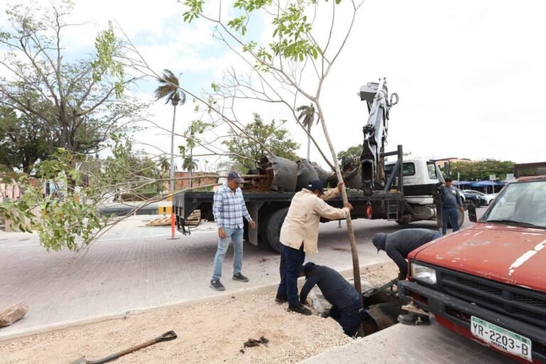 Imagen de WhatsApp 2024-04-09 a las 19.00.50_fc92eb61