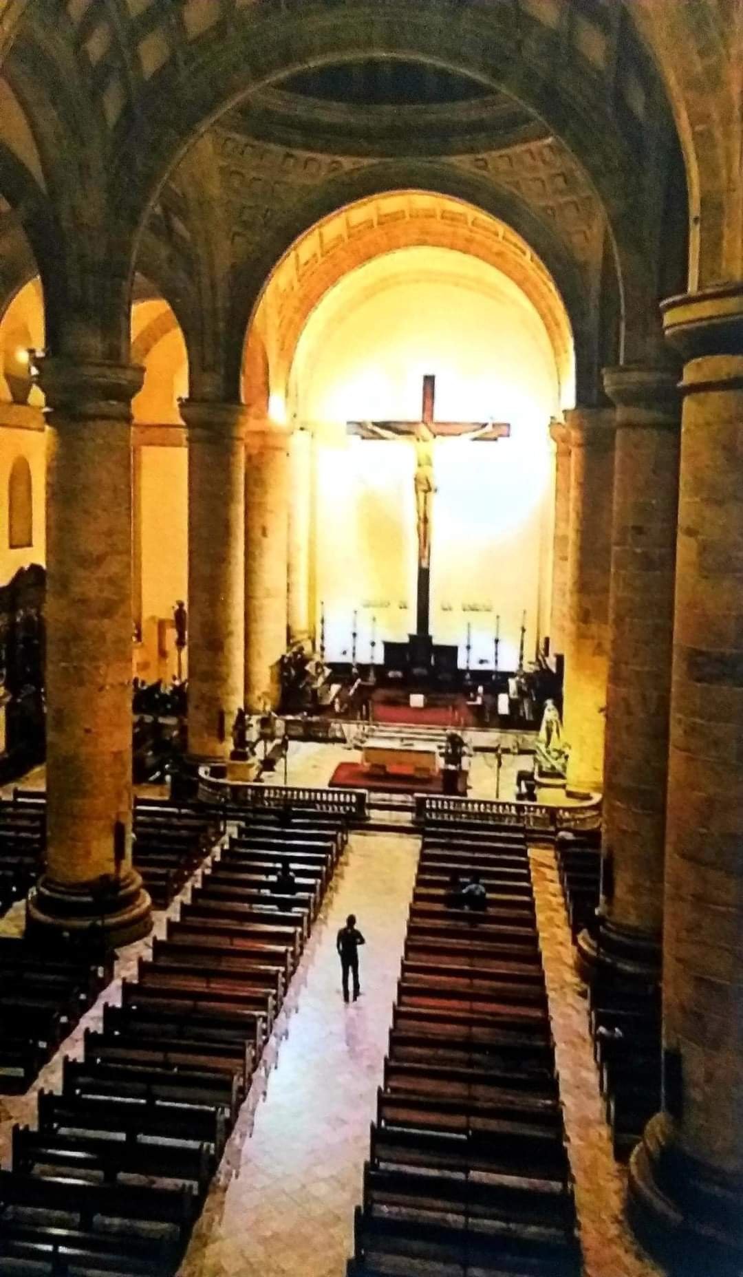 “¡Señor mío y Dios mío!” -Homilía-