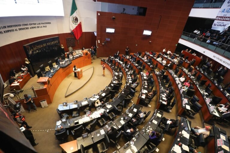 protesta_senado_hs-38