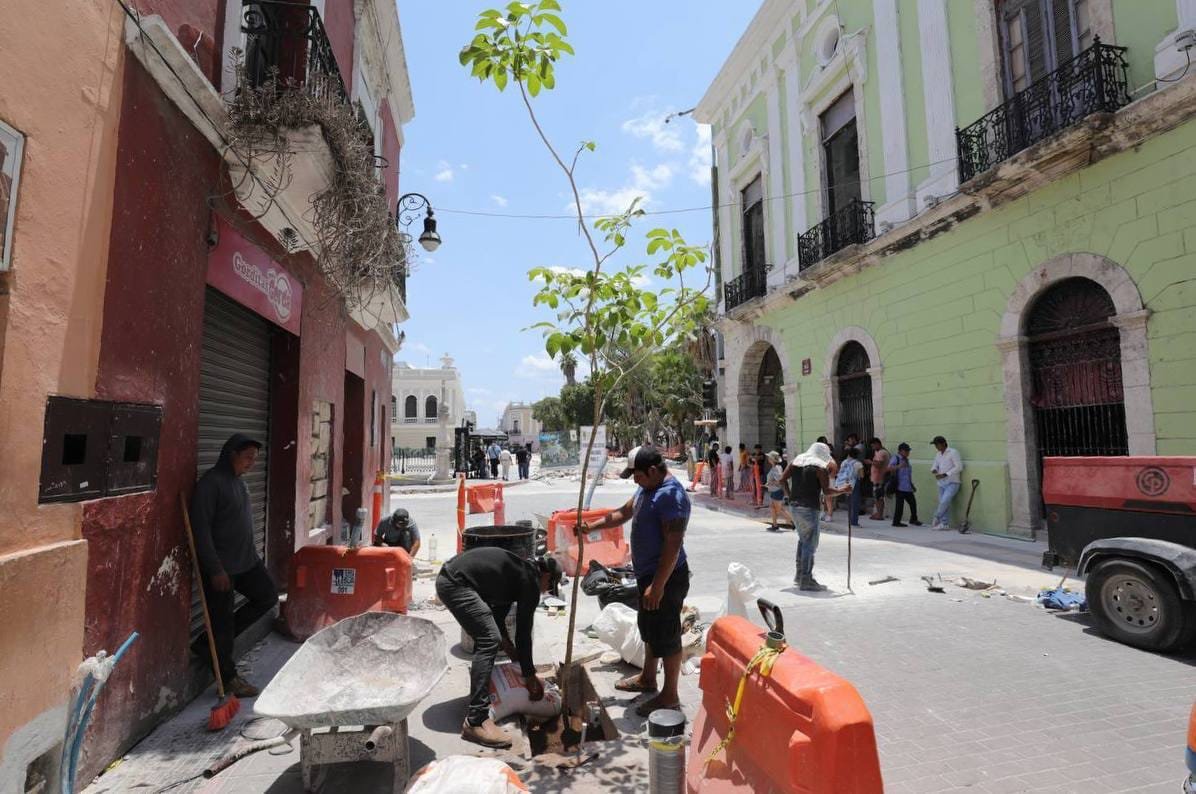 Avanza arborización en el Centro Histórico de Mérida