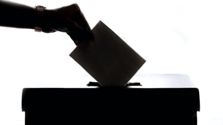 observatoria_ciudadana_voto_violencia_electoral