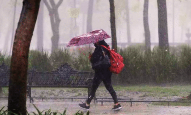 La-temporada-de-lluvias-de-2024-desplaza-la-sequia-en-la-Peninsula-de-Yucatan-780x470