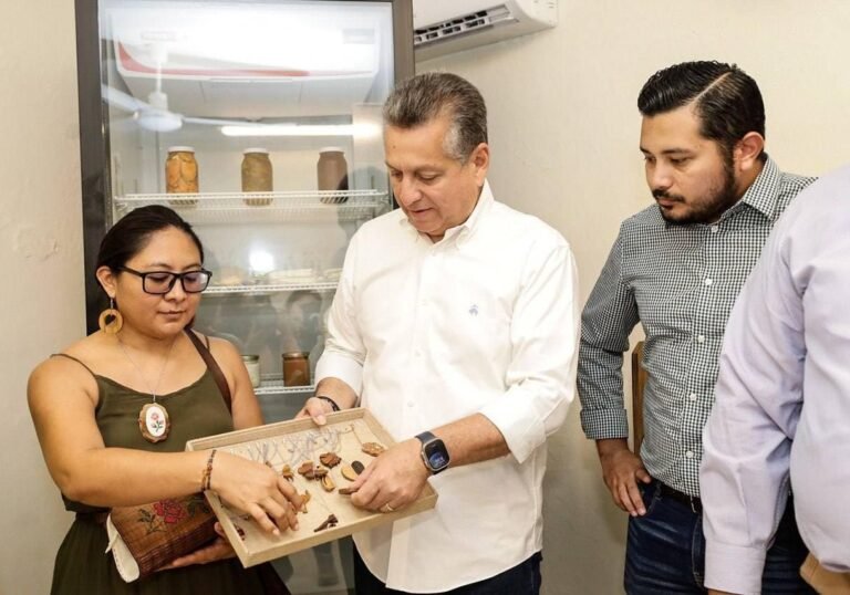 Imagen de WhatsApp 2024-08-01 a las 16.02.07_2cfb1e92